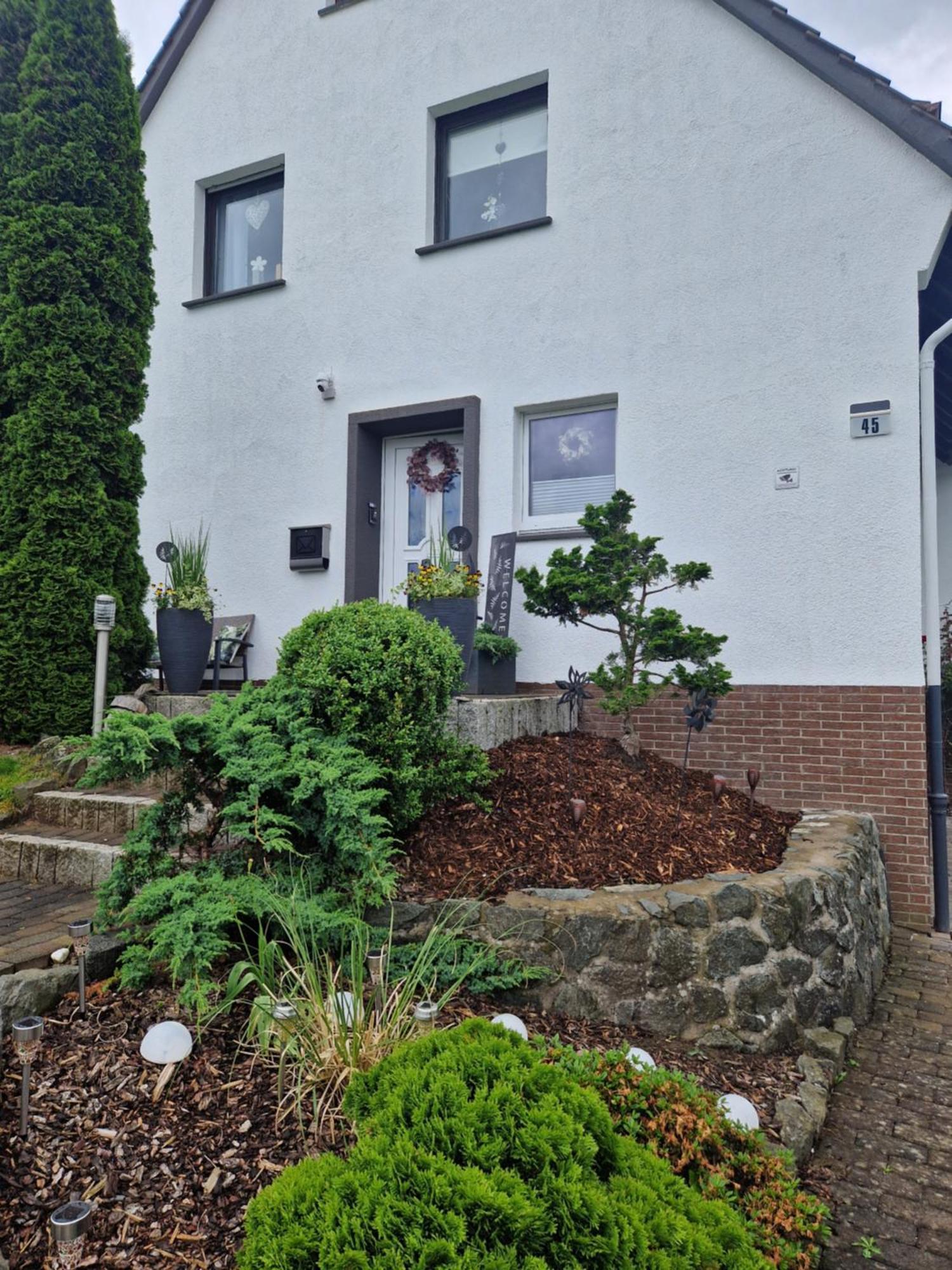 Ferienwohnung Parkblick メーデバッハ エクステリア 写真